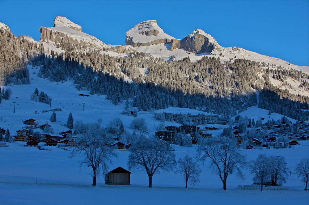 Hotel La Tour D'Ai Leysin Ngoại thất bức ảnh